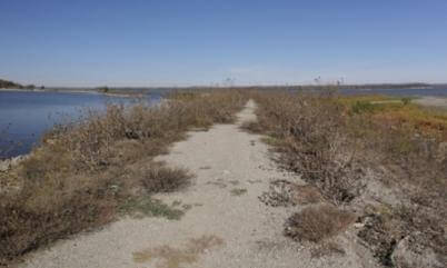 Path (V_F106_S015)