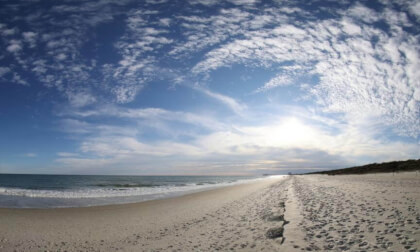 Seashore Solace