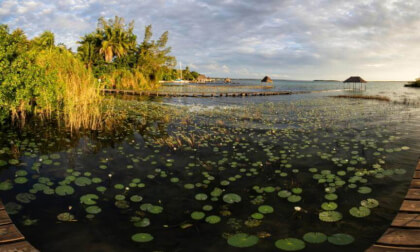 Bacalar - Palapas