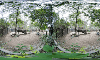 Rinho in the Zoo VR Photo Rinho in the Zoo VR