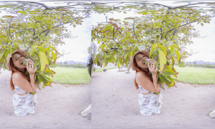 Melanie Vineyard 2 VR Photo Melanie Vineyard 2 VR