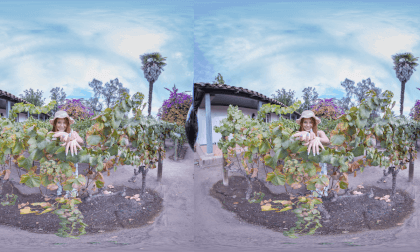 Melanie Vineyard 3 VR Photo Melanie Vineyard 3 VR