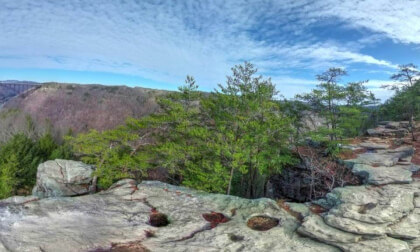 Long Point Overlook
