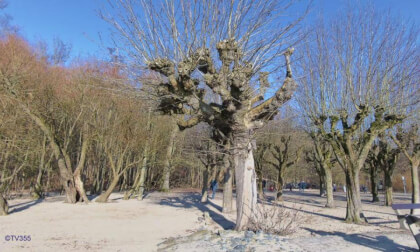 A walk along the Elbe - Test Acer Spatial camera -3 VR Photo A walk along the Elbe - Test Acer Spatial camera -3 VR