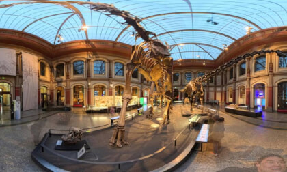 Dinosaur Hall at the Museum für Naturkunde, Berlin
