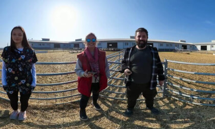 Sheep Barn - Bursa