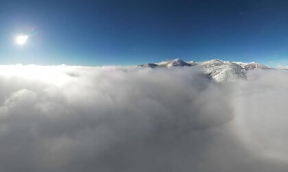 Above The Fog