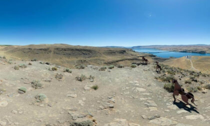 Wild Horses Mounument