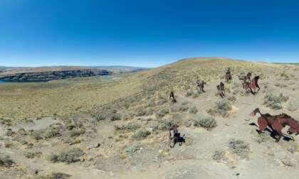 Wild Horses Monument