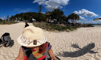 herald   Swell Sculptures Festival Qld Australia