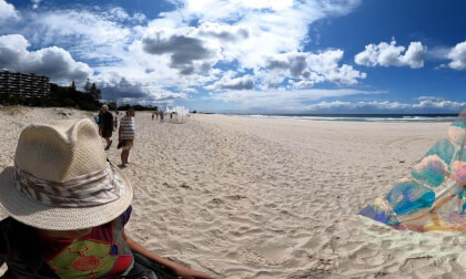 dune daisy Swell Sculptures Festival Qld Australia