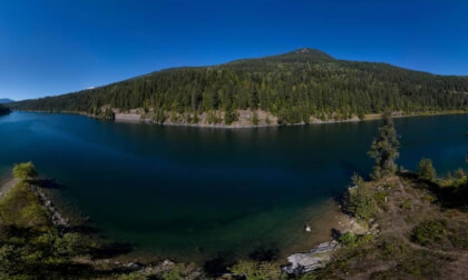 Kootenay River Island