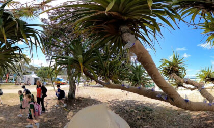 butterfly   Swell Sculptures Festival Qld Australia