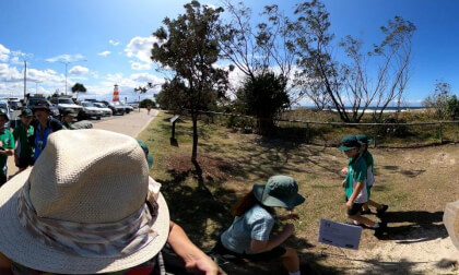 newborn - Swell Sculptures Festival Qld Australia