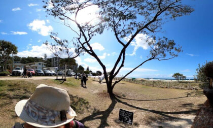 rijulot   Swell Sculptures Festival Qld Australia