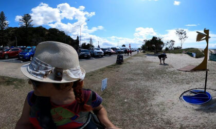 windborne - Swell Sculptures Festival Qld Australia