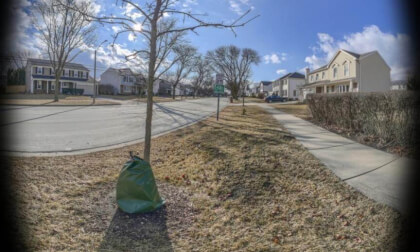 AEB_20250227_151114_000005-HDR(5)_PS_Output