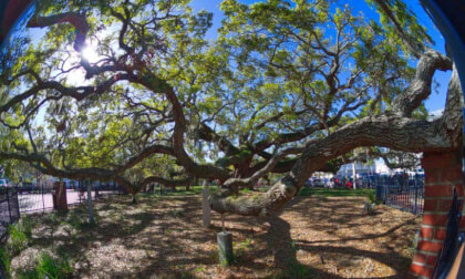 Safety Harbor  Q360_20250306_100425_2025