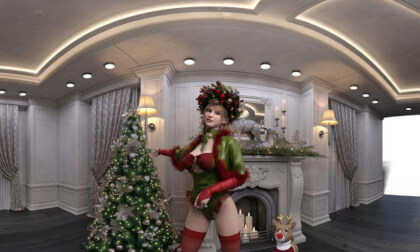 Christmas Elf