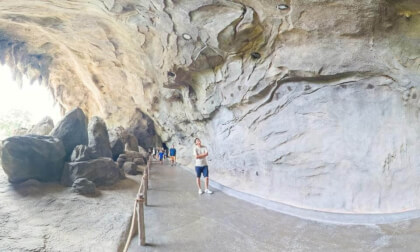 The Cavern - Rainforest Wild Asia