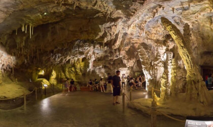 The Cavern - Rainforest Wild Asia