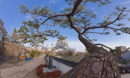Morning walking in Fukuyama castle.
