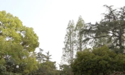 Western Suburb Hotel VR Photo Western Suburb Hotel VR