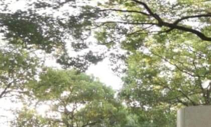 Western Suburb Hotel VR Photo Western Suburb Hotel VR