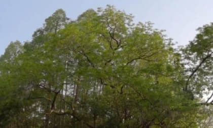 Western Suburb Hotel VR Photo Western Suburb Hotel VR