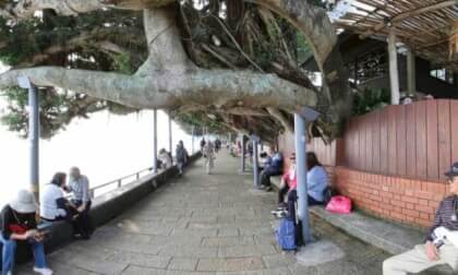 Taiwan Tamsui Wharf 10 VR Photo Taiwan Tamsui Wharf 10 VR