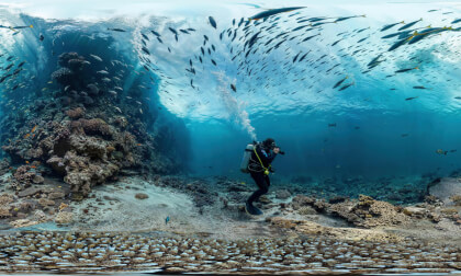 Underwater Diver Taking Photographs Of Coral Reef And Fish