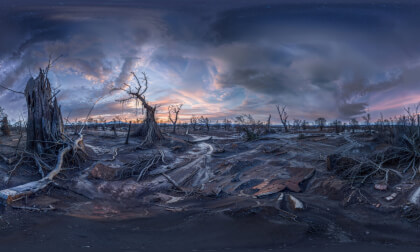 Apocalyptic Landscape With Broken Trees and Devastation