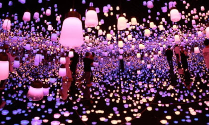 Forest of Lump (VR180)  Purple