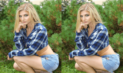 Model