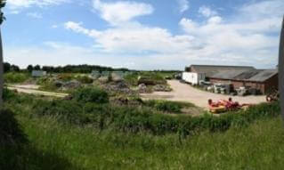 Dutch farm