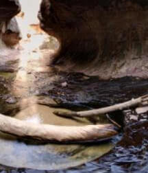 Subway, Zion National Park, Utah
