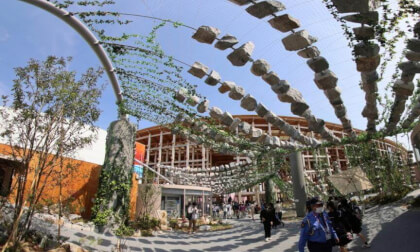 37EXPO2025 OSAKA,KANSAI,JAPAN(37)