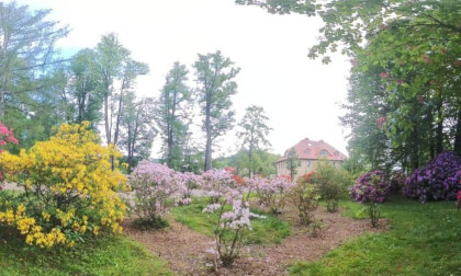 Park 1000-lecia Lądek-Zdrój