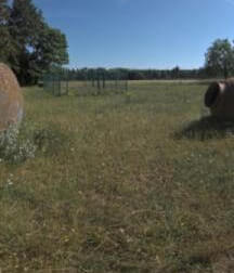 Sculpture Garden Lichtwiese