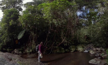 Elabana Falls