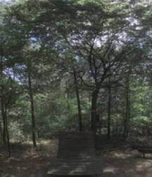 Resting bench in the woods