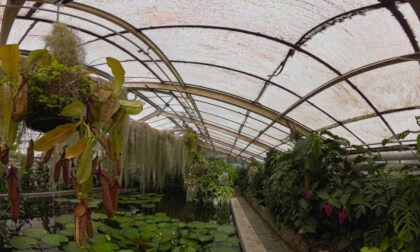 Slovakia: Bratislava - Botanical Garden of the Comenius University