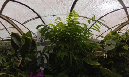 Slovakia: Bratislava - Botanical Garden of the Comenius University