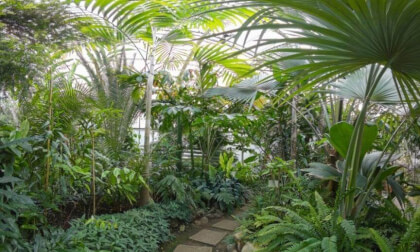 Slovakia: Bratislava - Botanical Garden of the Comenius University