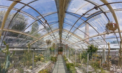 Slovakia: Bratislava - Botanical Garden of the Comenius University