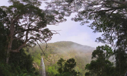 Moran's Falls