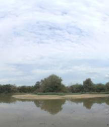 [8K 360 3D] Nature reserve Weigandsbusch