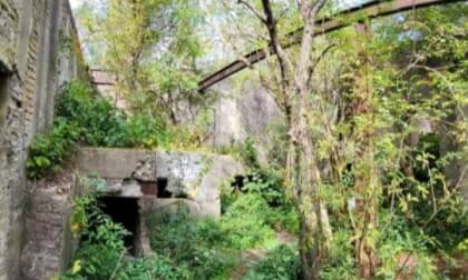 50 years of decay