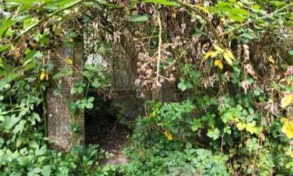 50 years of decay