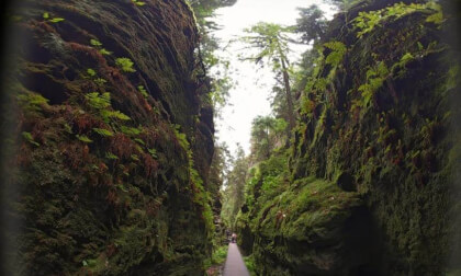 Nationalpark Sächsische Schweiz Germany